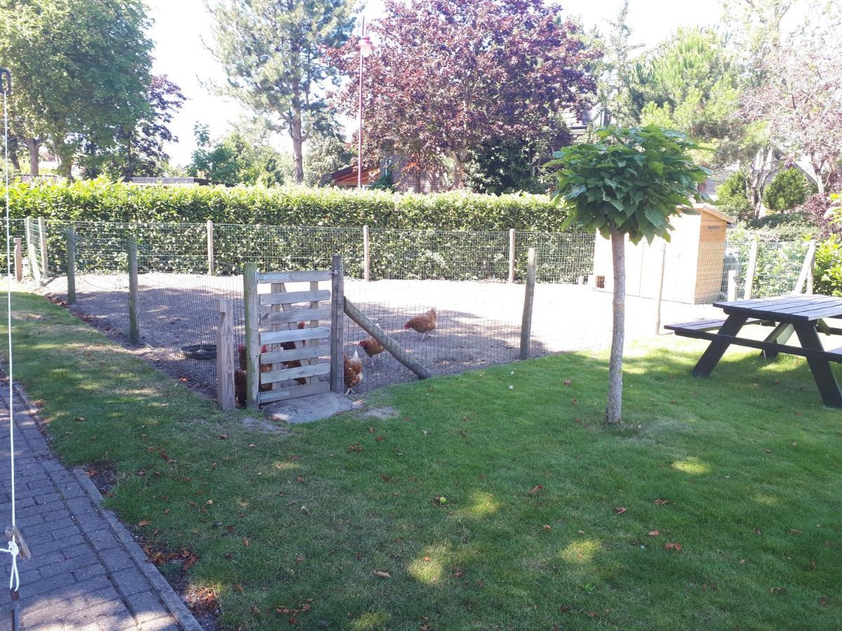 Bed And Breakfast "De Smousenhoek" Ouddorp Dış mekan fotoğraf